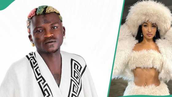 "Let's link up": Portable shoots his shot at Jamaican female singer, Shenseea, fans react