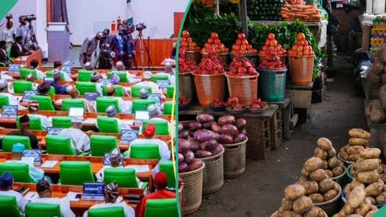 Food security: Reps, UNESCO, POWA synergise to empower 100,000 young women in agriculture