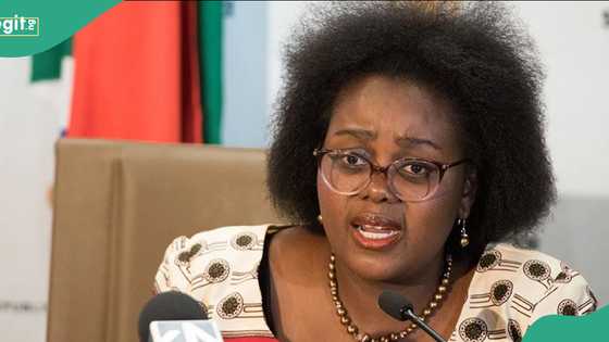 "Our artistes are losing gigs" - South African minister cries out