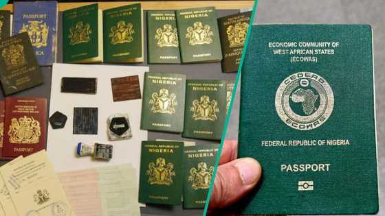 New Nigerian passport ranking: Full list of 20 countries below Nigeria
