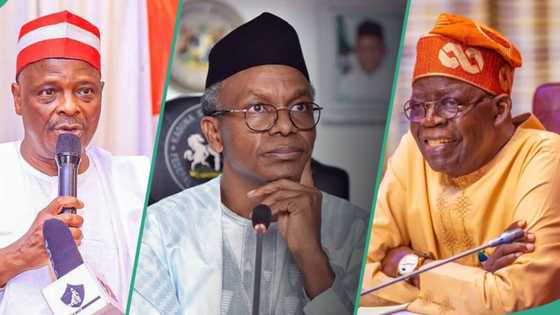 Atiku's supporter taunts El-Rufai, Yahaya Bello, Kwankwaso, calls them “Tinubu regret organisation”