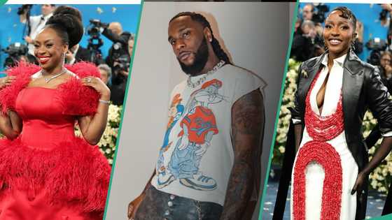 Chimamanda Adichie makes Met Gala debut as Burna Boy hits blue carpet in customised outfit