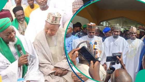 Barau ya yi wa Rarara gata a aurensa, jiga jigan APC sun halarci ƙayataccen bikin