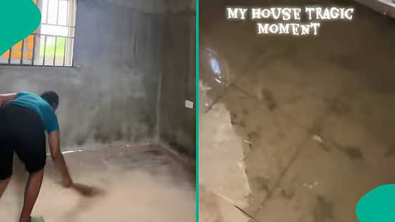 "I cried all day": Lady weeps, shares video of apartment she rented for N1.3m, many react
