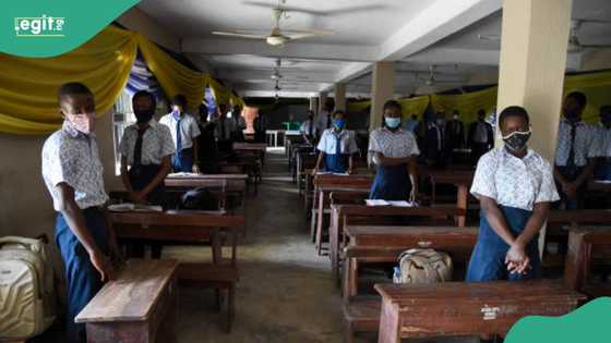 Shugaban makaranta ya tsere da kudin jarrabawar WAEC da NECO, ya lula kasar waje