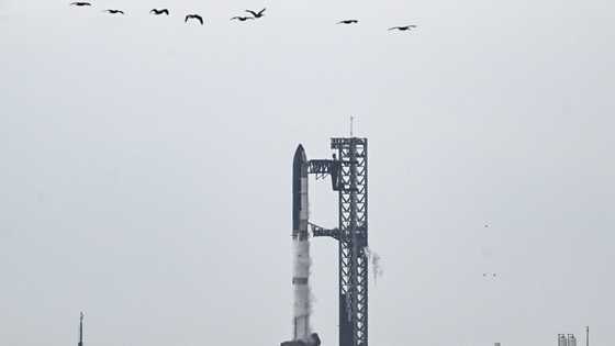SpaceX set once more for Starship test flight
