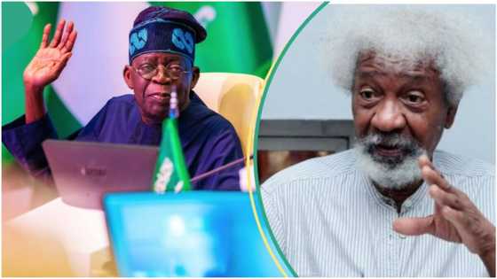 Ogun monarch asks Tinubu to declare Soyinka Day, gives reason