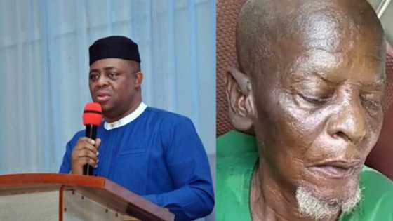 Fani-Kayode reacts to arrest of notorious kidnapper Wakili; sends crucial message to Gani Adams-led OPC
