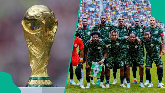 Ex-Super Eagles star shares reason Nigeria will bounce back to qualify for World Cup