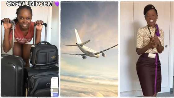 "This is my dream career": Lady gets cabin crew hob in airline company, Etihad sends her full box of goodies
