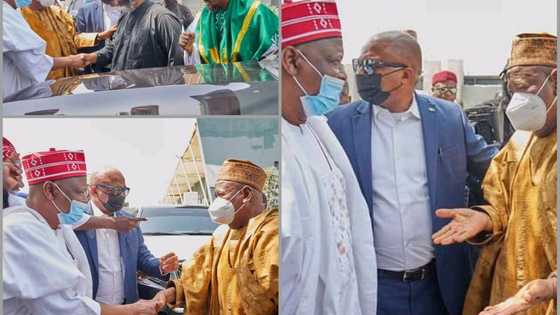 Kicibus: Hotunan gamuwar Ganduje da Kwankwaso a filin jirgi sun bar baya da kura