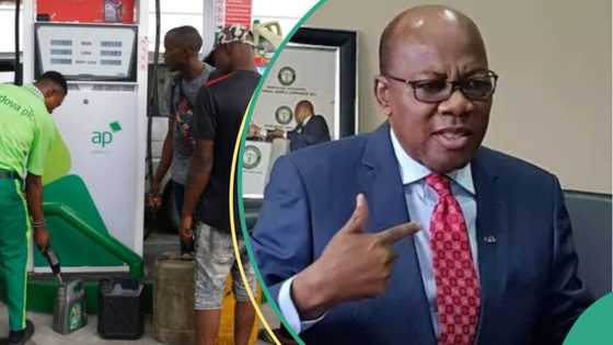 "Price will drop to N300/litre": Agbakoba proposes how FG can reduce petrol cost for Nigerians