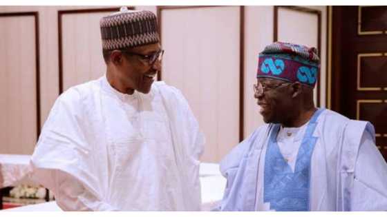 Tinubu congratulates Buhari on tribunal victory, sends message to Atiku, PDP