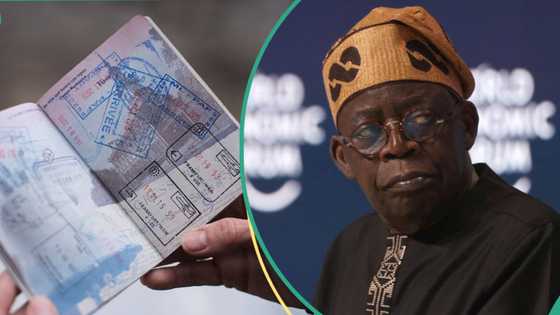 Nigeria launches first visa application agency, Asfaar, to tackle fake documents, ease travel