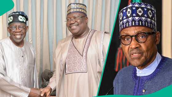 Did Buhari endorse Ahmad Lawan for APC’s 2023 presidential ticket? New book shares insider details