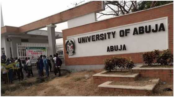 Top university drops classified information, next line of action to students after ASUU meetings with FG