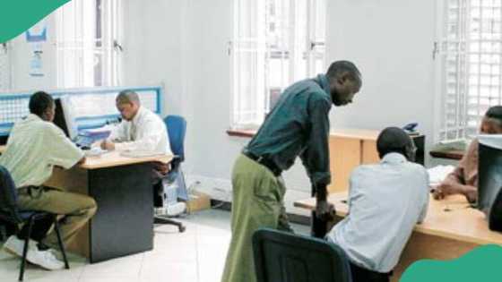 Another bank's MD, boards suspended days after CBN's action on Polaris, Titan, Union, Keystone banks