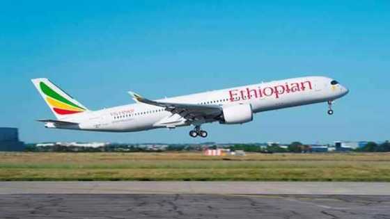 Tragedy as Ethiopian Airline flight headed to Kenya crashes with 149 passengers on board