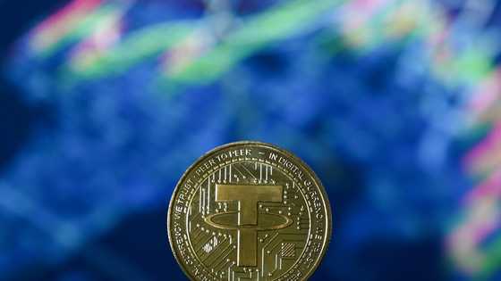 Why stablecoins are gaining popularity