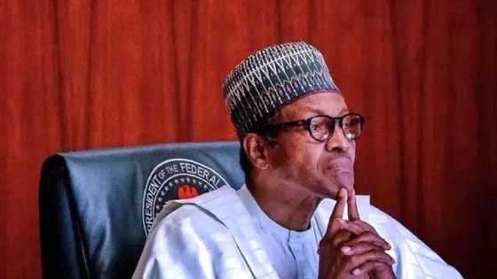 Kashe-Kashen Arewa: Muna Fushi Da Buhari Da Gwamnonin Arewa, Kungiyar Tuntuba Ta Arewa, ACF