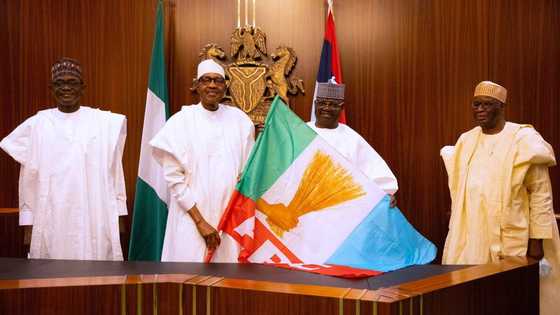 Ana wata ga wata: Rikici ya barke a mahaifar shugaba Buhari Daura kan wanda za'a ba takara a APC