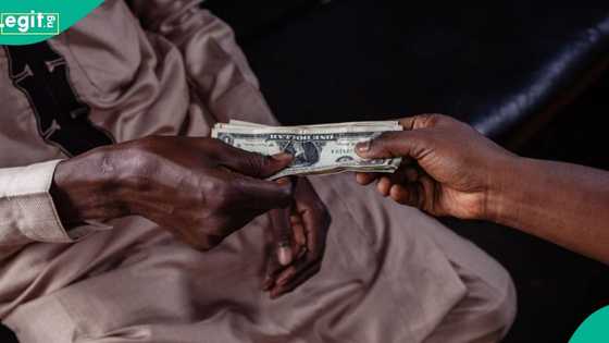 Naira appreciates again, secures new ranking among African countries