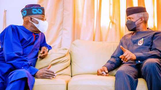 2023: Dalilai 2 da suka sa Farfesa Osinbajo ba zai yi takara da Bola Tinubu ba - Jigon APC