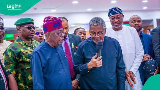 Of Tinubu's wise men and a trillion dollar economy dream, by Chiechefulam Ikebuiro