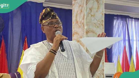 Court of Appeal gives verdict on senatorial election in Lagos