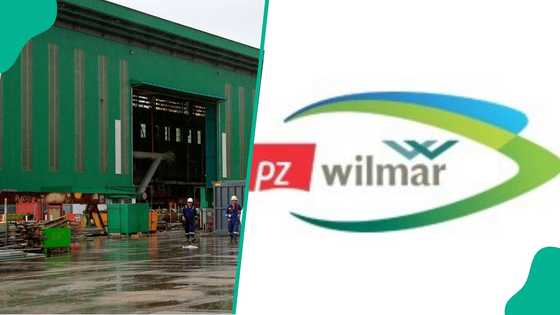 Wilmar buys out PZ Cussons’ stake in Nigerian palm oil company, sets date to announce new name