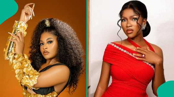 BBN's Phyna raises alarm over N3.5m hotel damages after viral fight clip: "They want to lock me up"