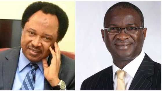 “It’s hard to believe”: Shehu Sani reacts to report of Fashola writing judgement for presidential tribunal