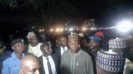 Poverty in Nigeria: Boko Haram luring recruits with N5,000 or N10,000, Zulum claims