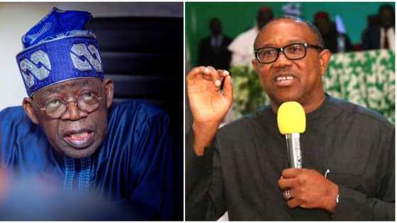 Top APC chieftain reacts to Obi's endorsement, says “Afenifere 90% backing Tinubu”