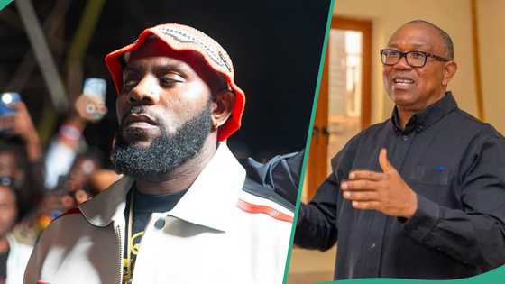 Odumodublvck shares reason for calling out Peter Obi: "I was offered money to campaign against him"