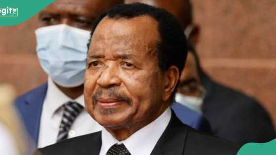 US told what to do to force Cameroon's Paul Biya out of power