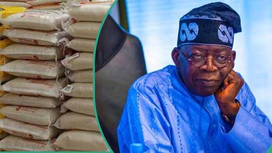 Confusion over Tinubu’s N57.8 billion rice palliative for National Assembly members