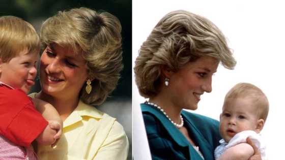 Diana’s sister-in-law says Princess would have been proud of Harry's decision to step down