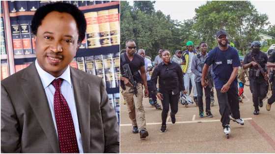 “We are all now in a roller coaster ride": Shehu Sani taunts Seyi Tinubu for skating in Abuja with aides