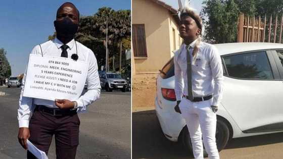 Unemployed man becomes internet sensation after picture of him searching for job at traffic light goes viral