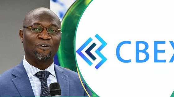 CBEX Scam: SEC takes action against Ponzi scheme operators after Nigerians lost billions of naira