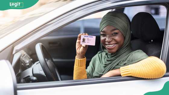 Driver's license verification: Why it is necessary and how to do it