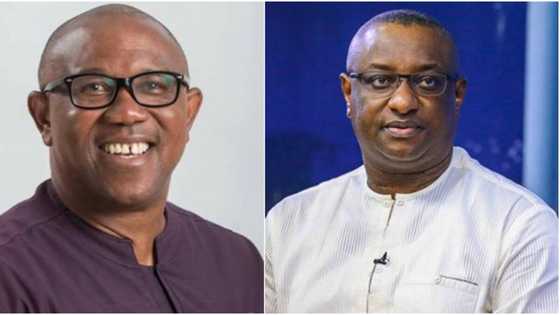 Soyinka vs Datti: “Obidients are mentally weak”, Keyamo blasts Peter Obi’s supporters