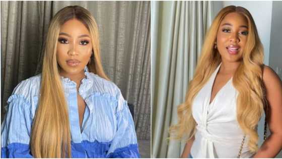 "I'll finish your self-esteem": BBNaija's Erica replies critics of her decision to be active in 2023 elections