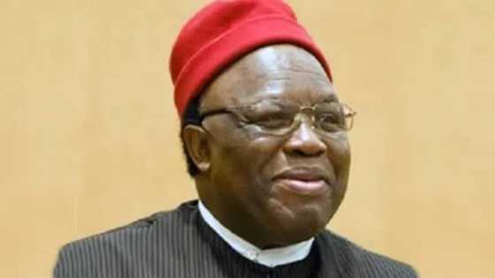 Fresh crisis hits Ohanaeze Ndigbo as new faction asks court to stop Obiozor from parading as president