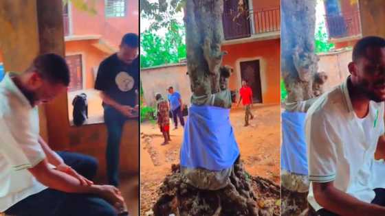 "My polling unit dey shrine, vote against Peter Obi, we go swear for you": Twitter user claims in video