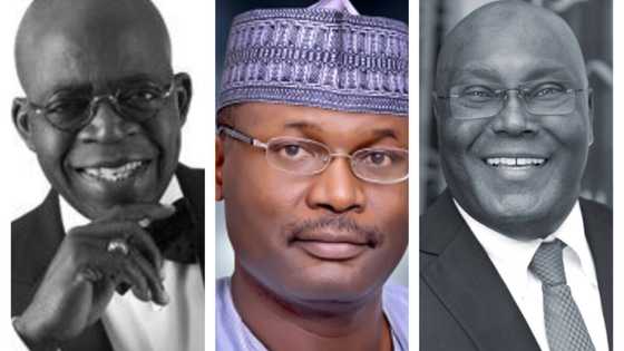 2023 elections to be postponed? Anxiety in APC, PDP camps as INEC gets last-minute call