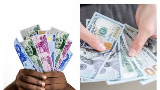 Naira rebounds on the black market amid slow dollar demands, cash scarcity