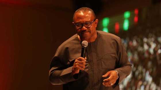 LP's flag bearer Peter Obi jets out to US, Germany, 2 other countries, gives solid reason for visitation