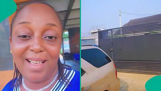 Woman panics after spotting dangerous creature at her gate, video grabs attention